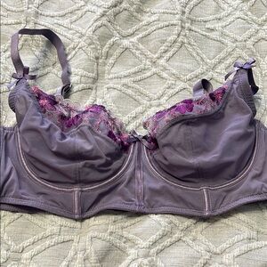 Elegant Lace Trim Purple Bra